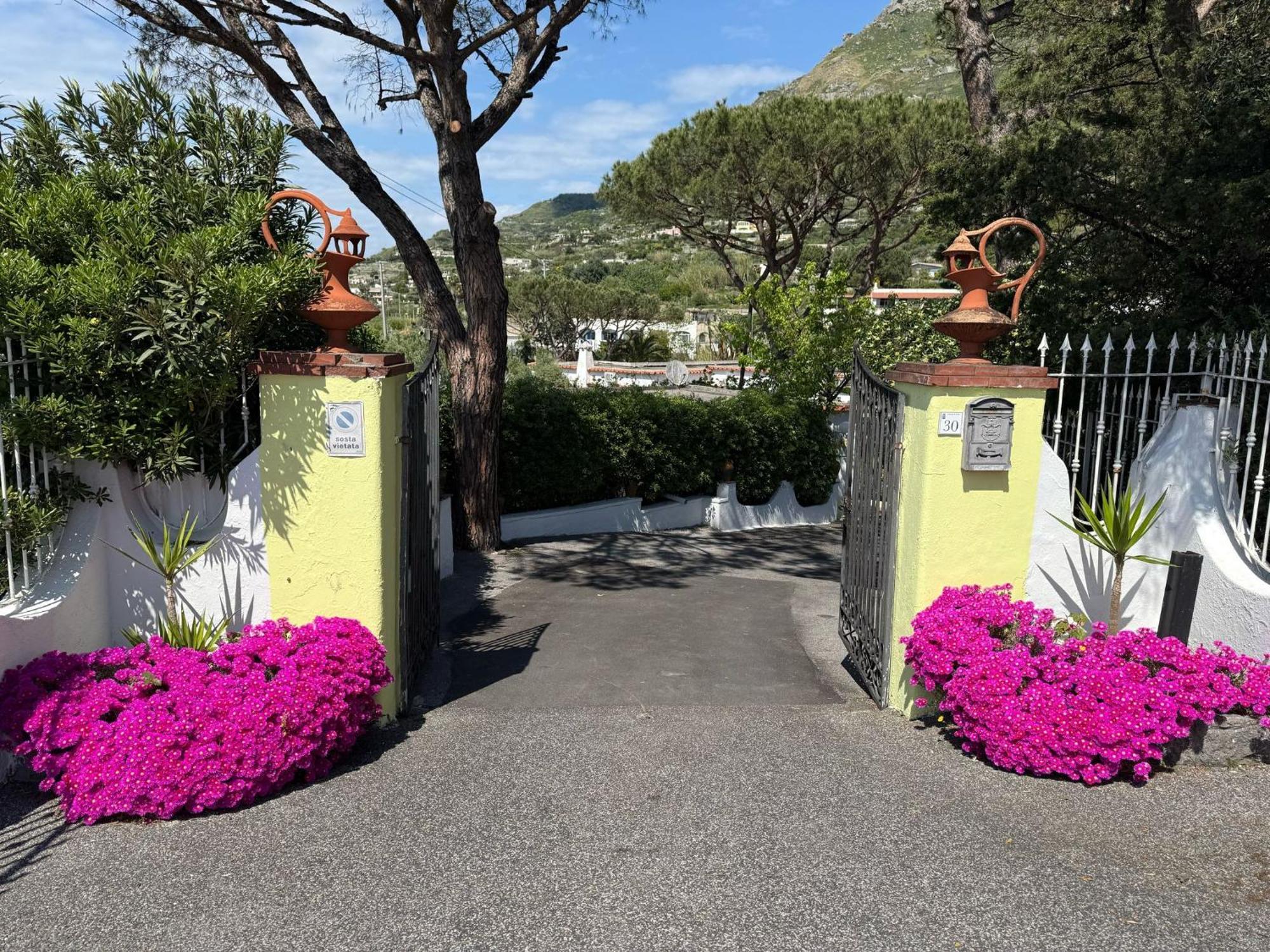 Hotel Park Calitto Forio (Isola d'Ischia) Exterior foto